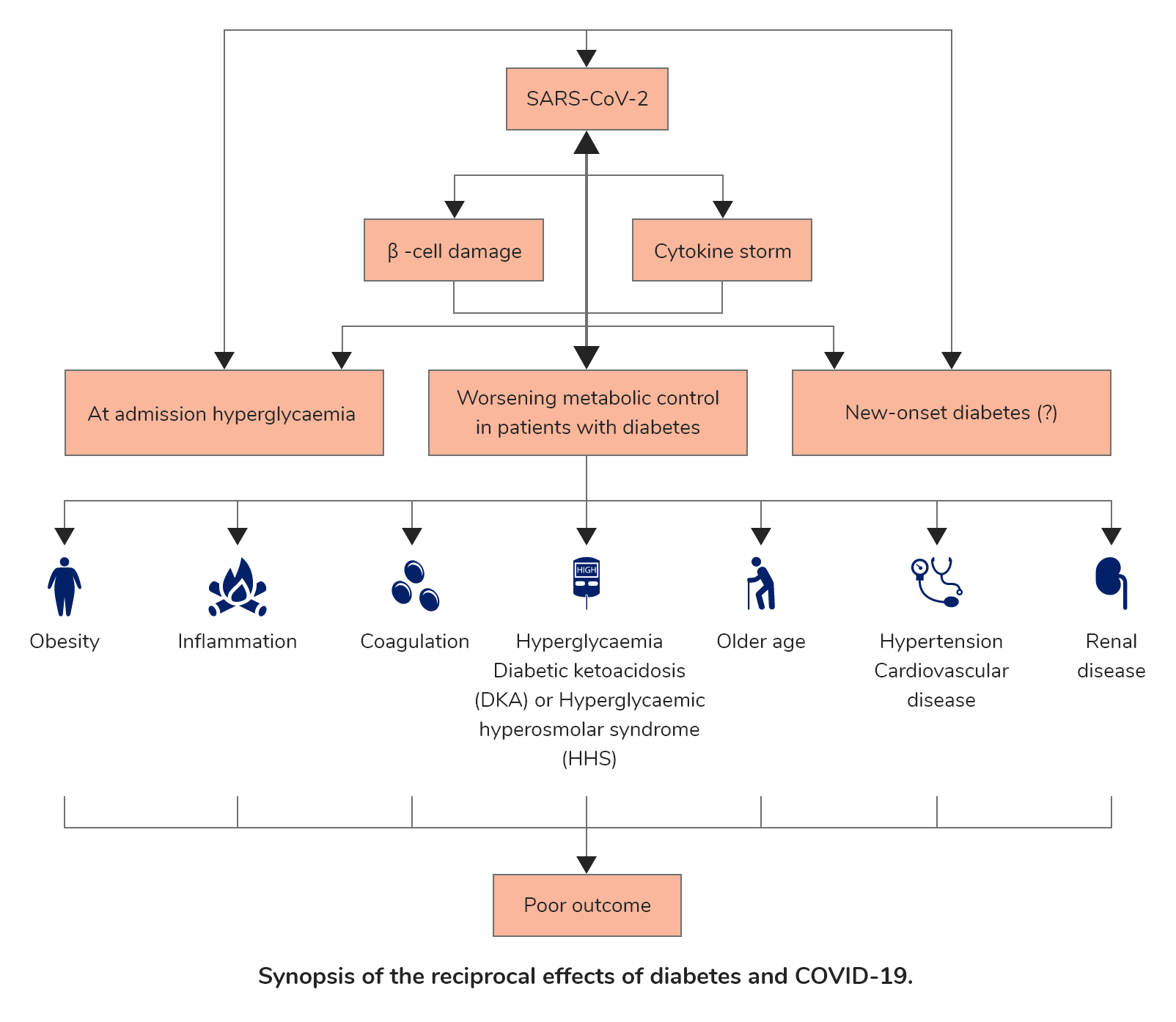 Synopsis of the reciprocal effects of diabetes and COVID-19