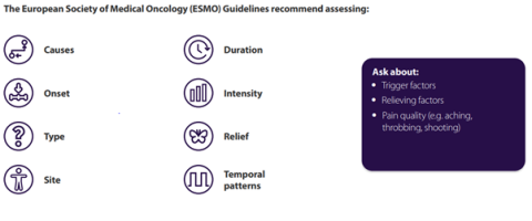 European Society of Medical Oncology (ESMO) Guidelines recommendations for assessing pain