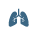 Respiratory