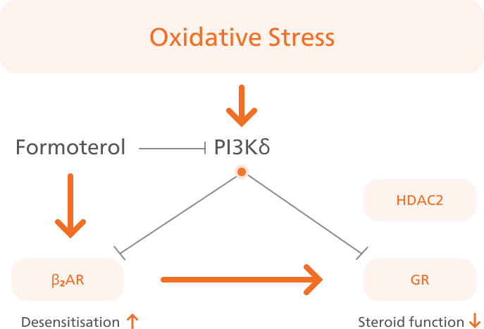 Oxidative stress