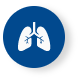 Respiratory-lungs-image