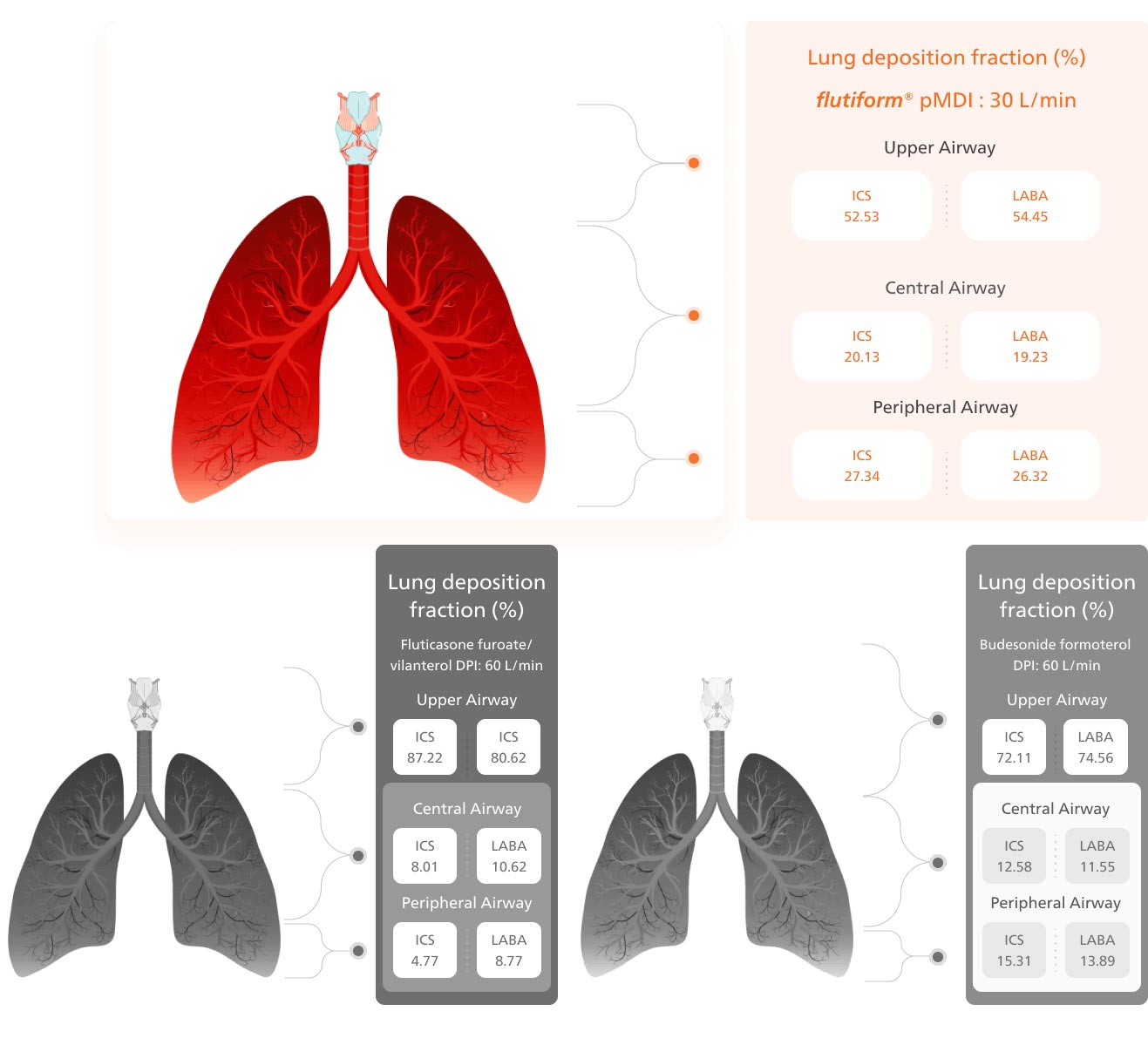 Lung deposition