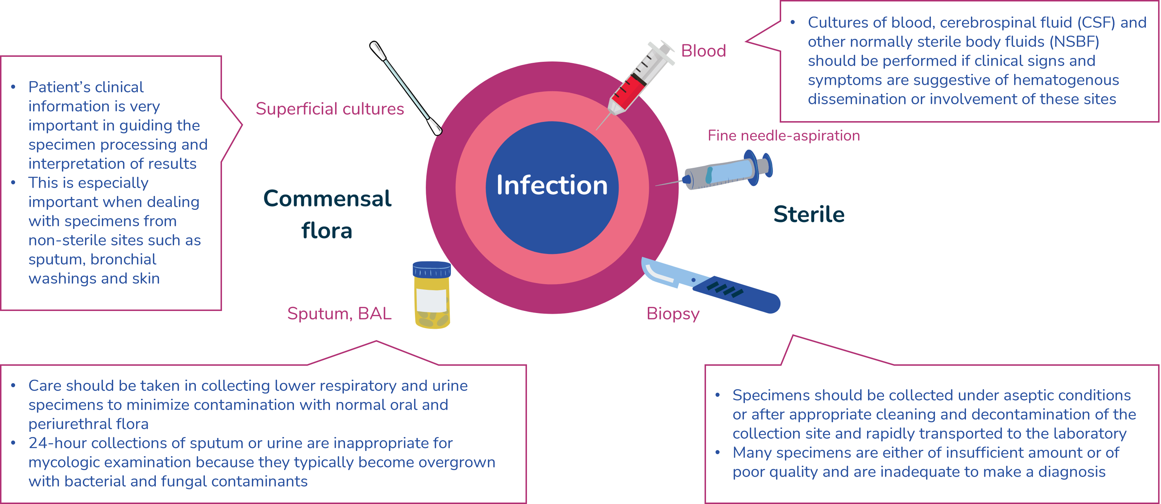 fungal diagnostic 6