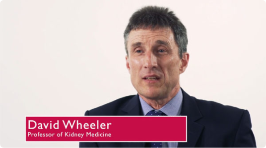 David Wheeler Professor of Kidney Medicine