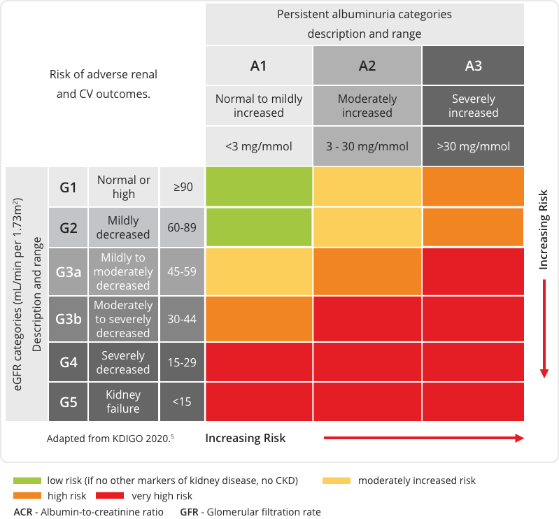 Risk of adverse renal and CV outcome